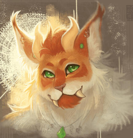 2 hours / 50usd